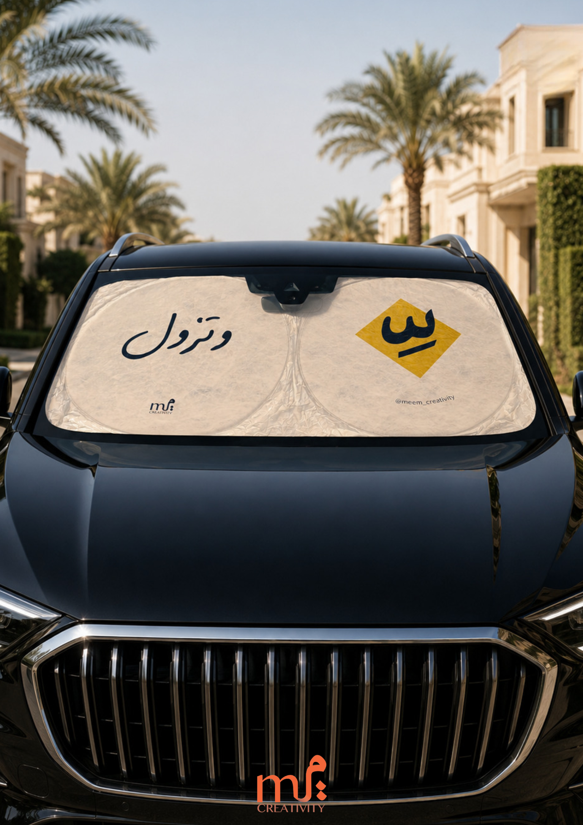 Car Sunshades