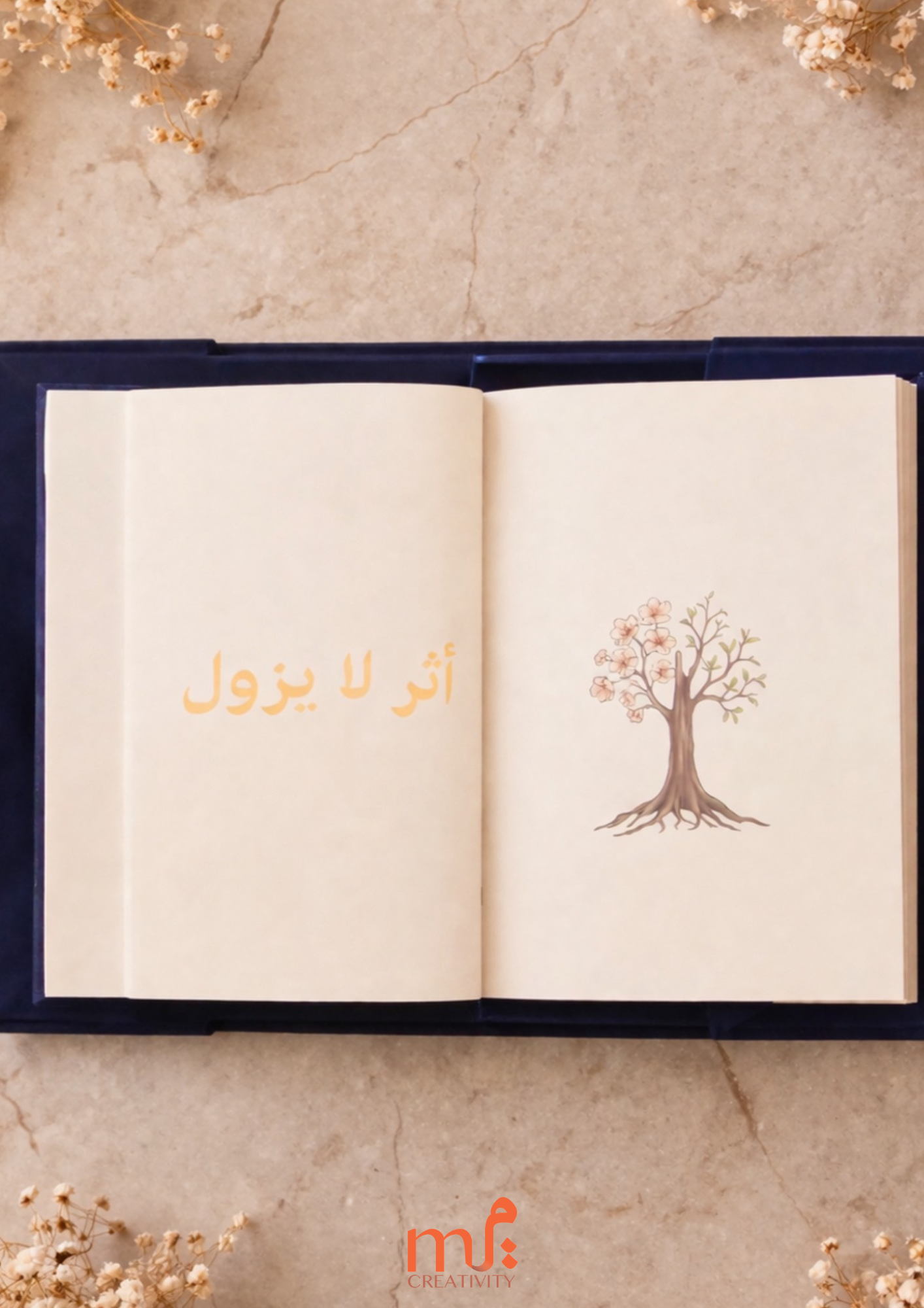 أمي